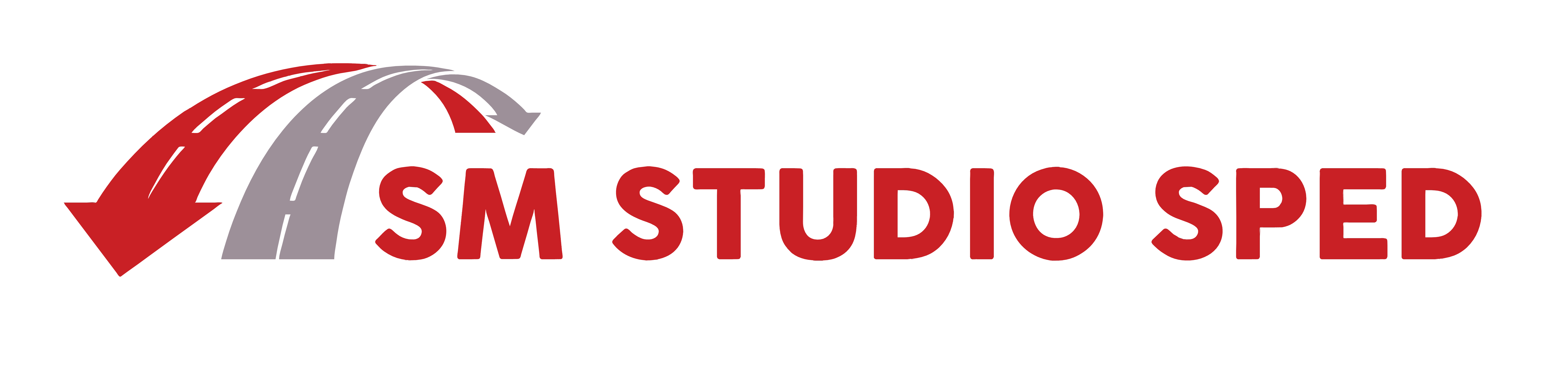 LOGO STUDIO SPED